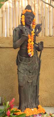 Shree
